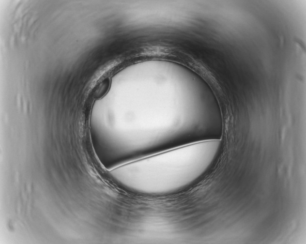 X0000100210724200805300725