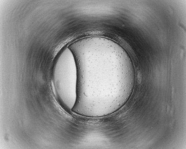 X0000100210725200805300725