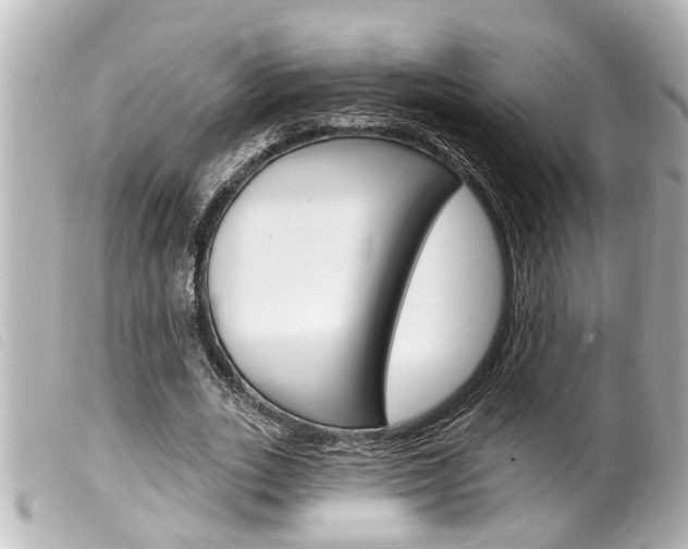 X0000100210727200805300725
