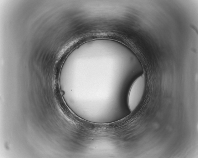 X0000100210728200805300725