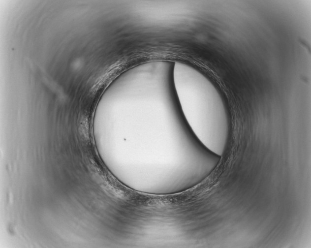 X0000100210729200805300725