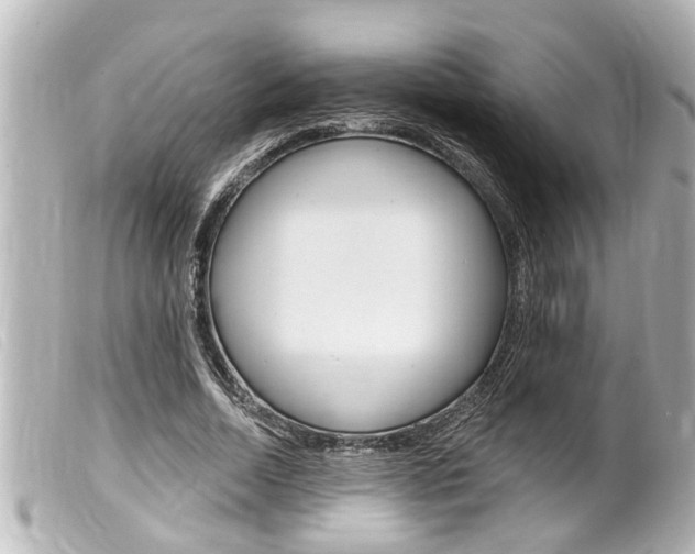 X0000100210730200805300725