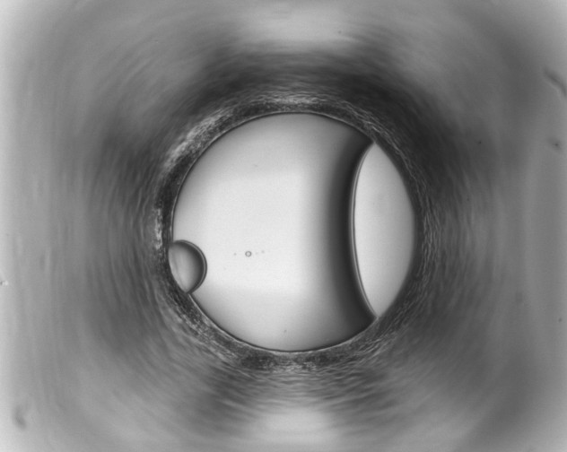 X0000100210731200805300725