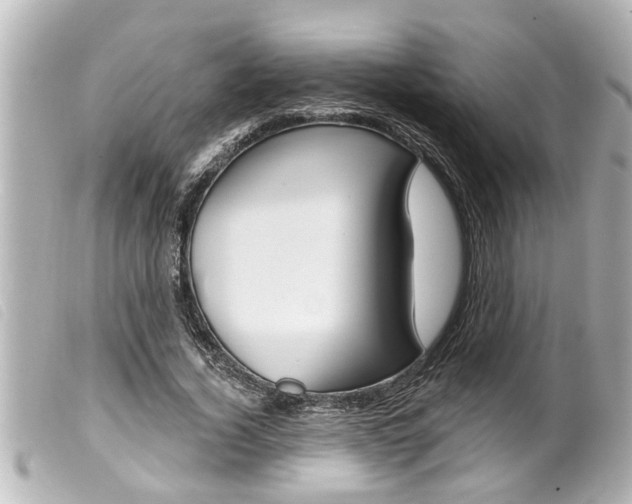 X0000100210732200805300725