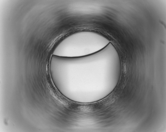X0000100210733200805300725