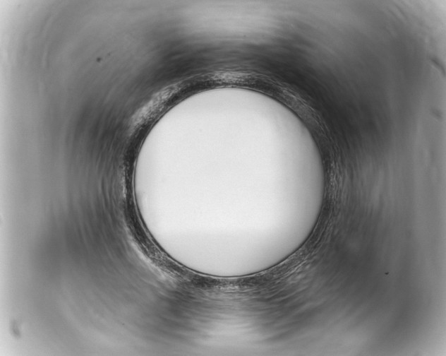 X0000100210734200805300725