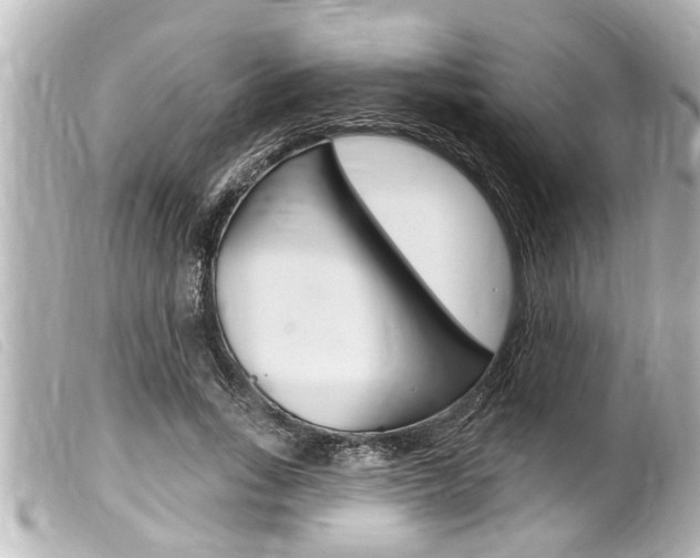 X0000100210735200805300725
