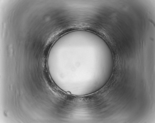 X0000100210736200805300725