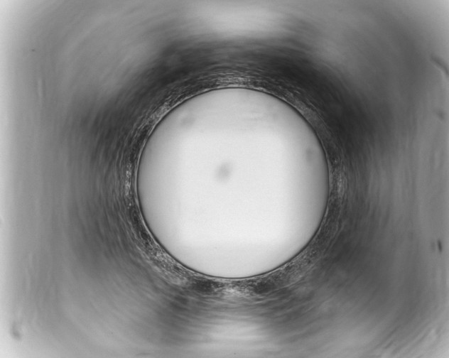 X0000100210737200805300725