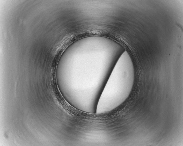 X0000100210738200805300725