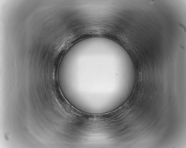 X0000100210739200805300725