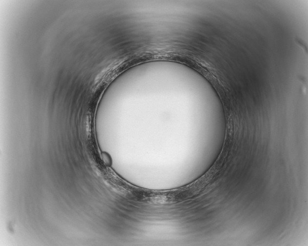 X0000100210740200805300725