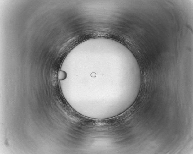 X0000100210741200805300725