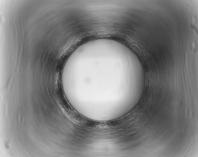 X0000100210742200805300725