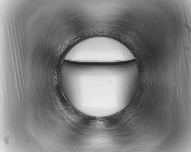 X0000100210743200805300725