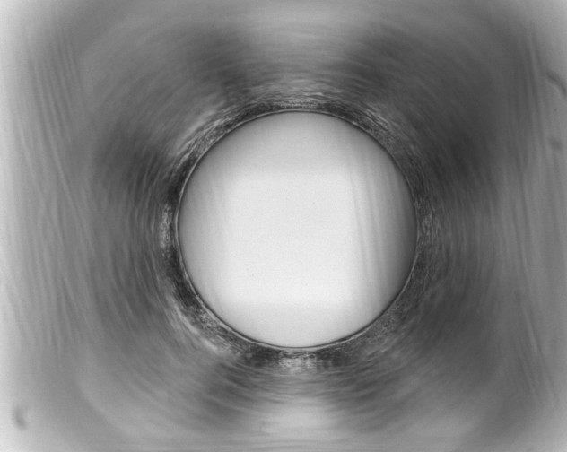 X0000100210744200805300725