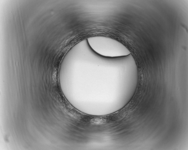 X0000100210745200805300725