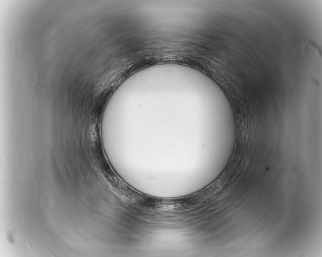 X0000100210746200805300725