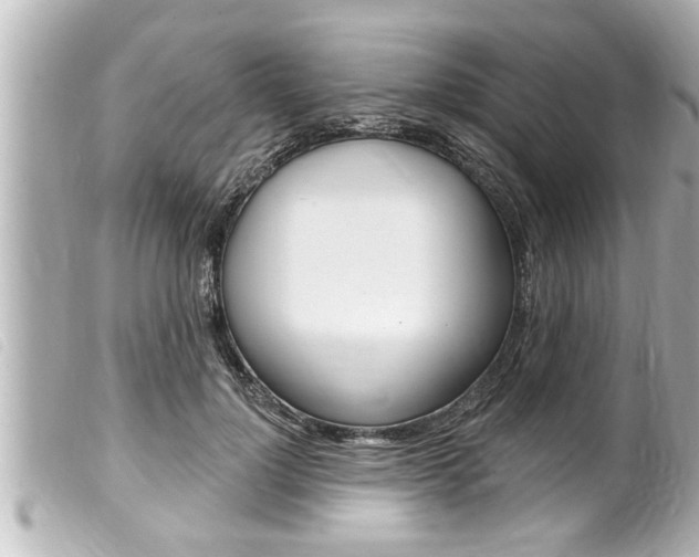X0000100210748200805300725