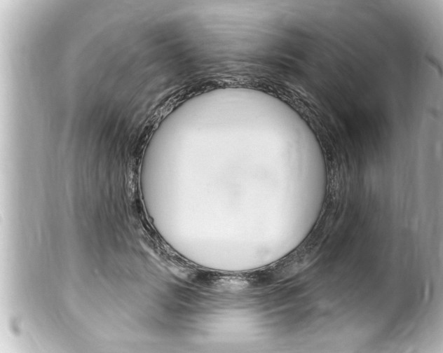X0000100210749200805300725