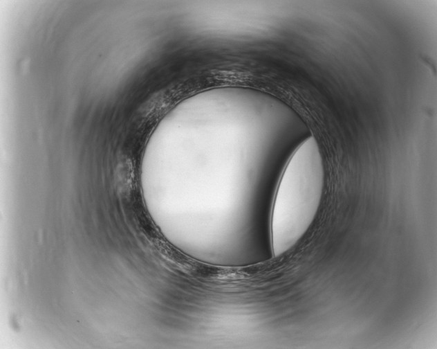 X0000100210752200805300725