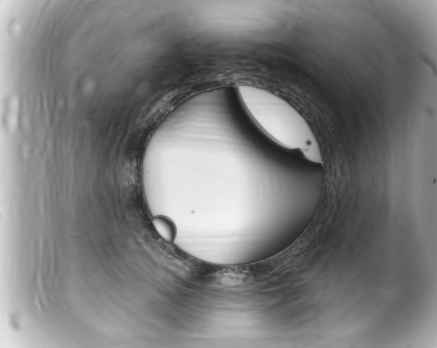 X0000100210756200805300725