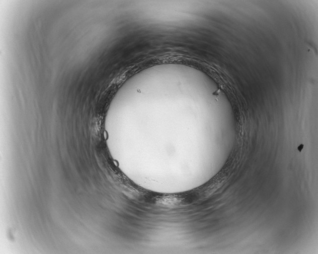 X0000100210759200805300725