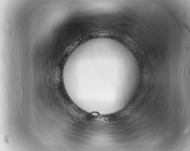 X0000100210760200805300725