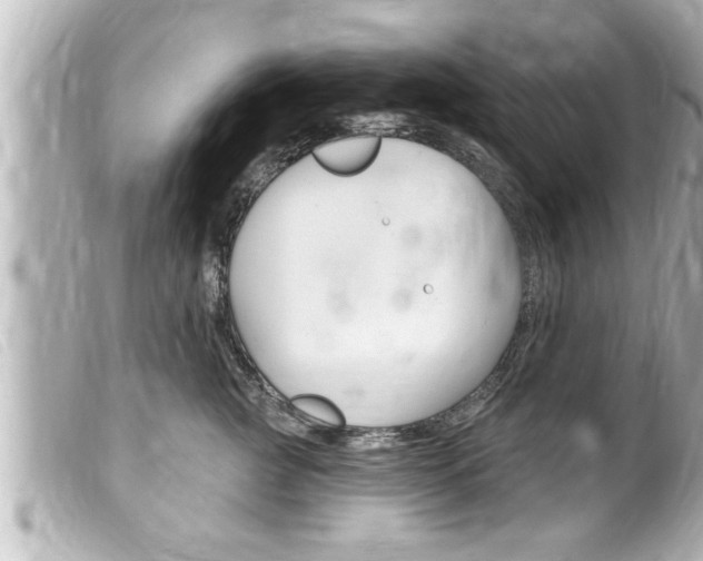 X0000100210761200805300725