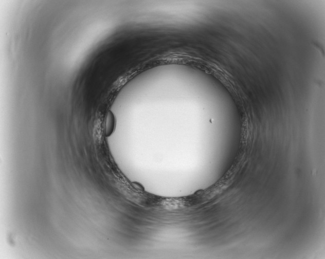 X0000100210762200805300725