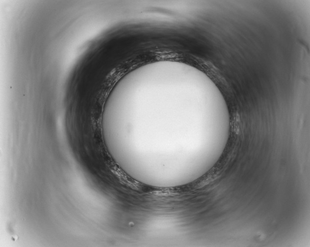 X0000100210763200805300725