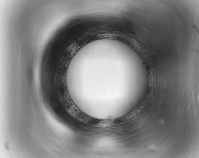 X0000100210764200805300725