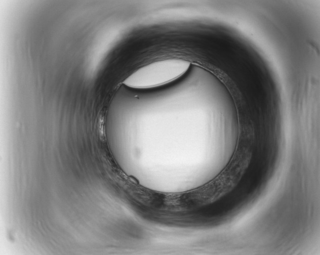 X0000100210766200805300725