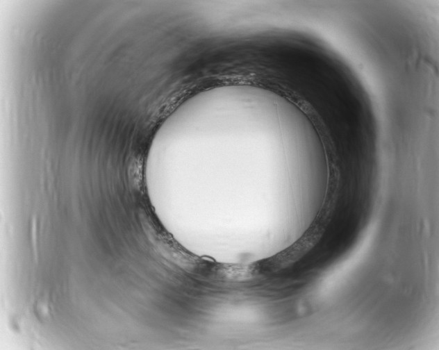 X0000100210767200805300725