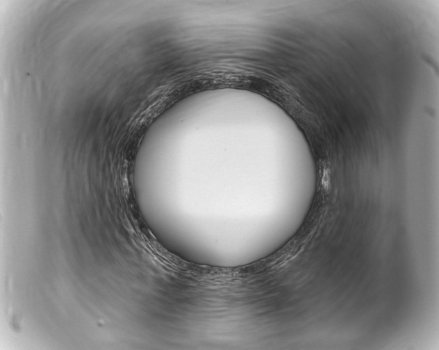 X0000100210771200805300725