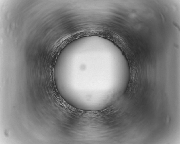 X0000100210773200805300725