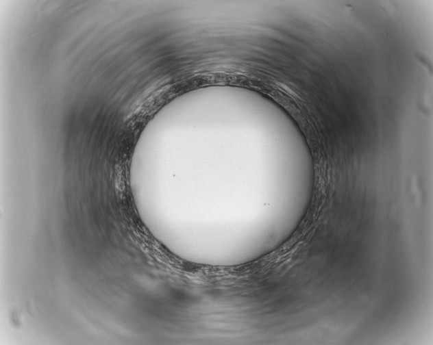 X0000100210774200805300725