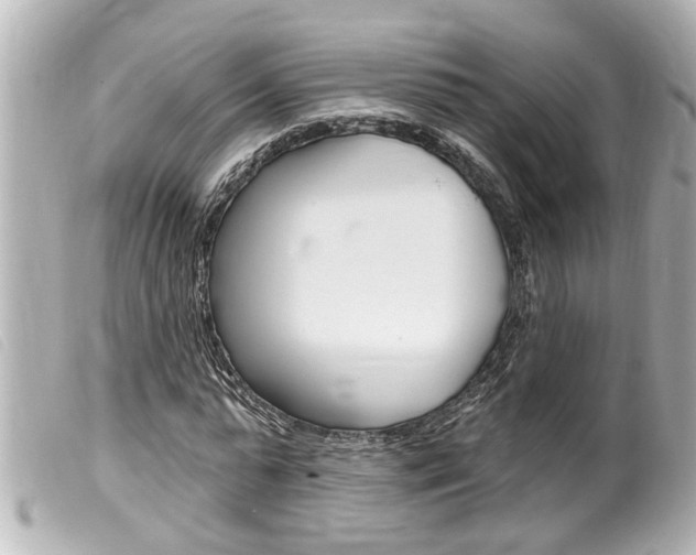 X0000100210775200805300725