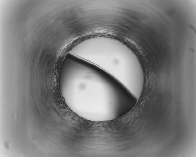 X0000100210776200805300725