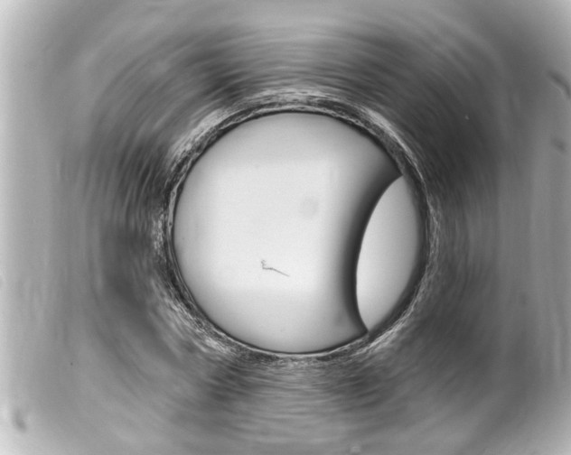 X0000100210778200805300725