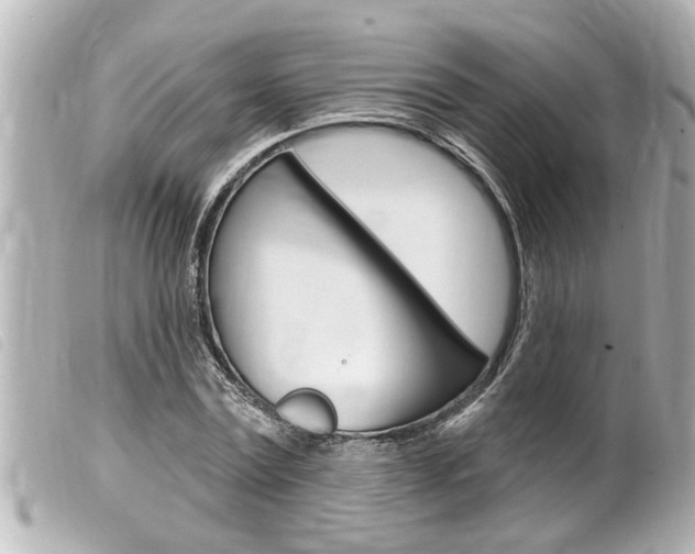X0000100210779200805300725
