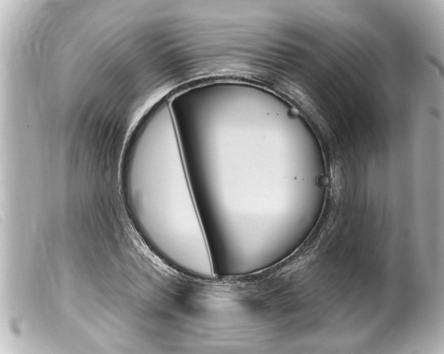 X0000100210780200805300725