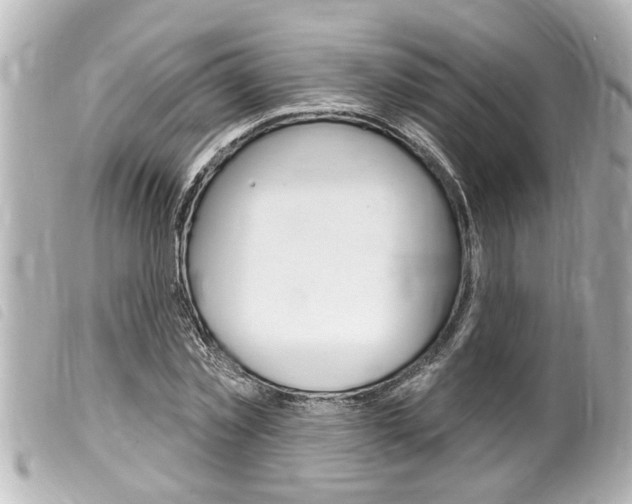 X0000100210781200805300725