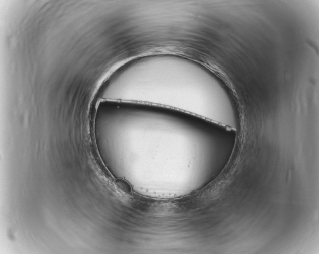 X0000100210784200805300725