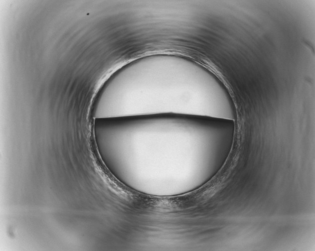 X0000100210787200805300725