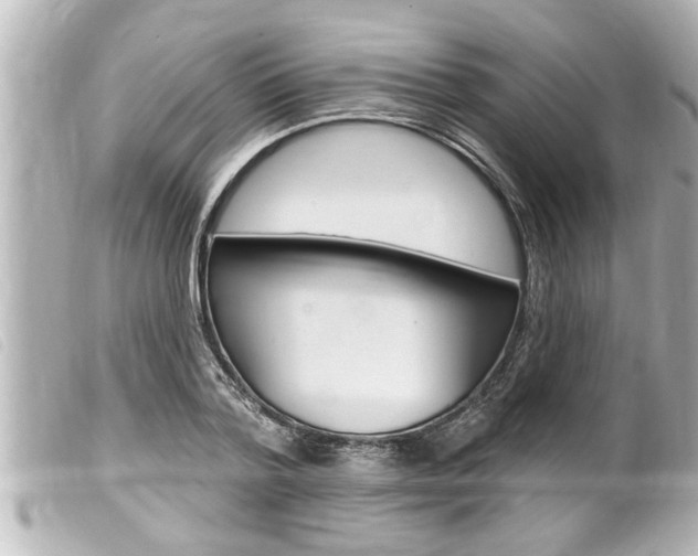 X0000100210788200805300725