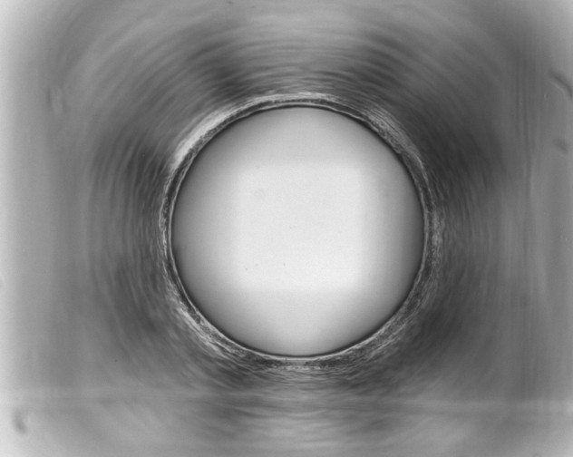 X0000100210789200805300724
