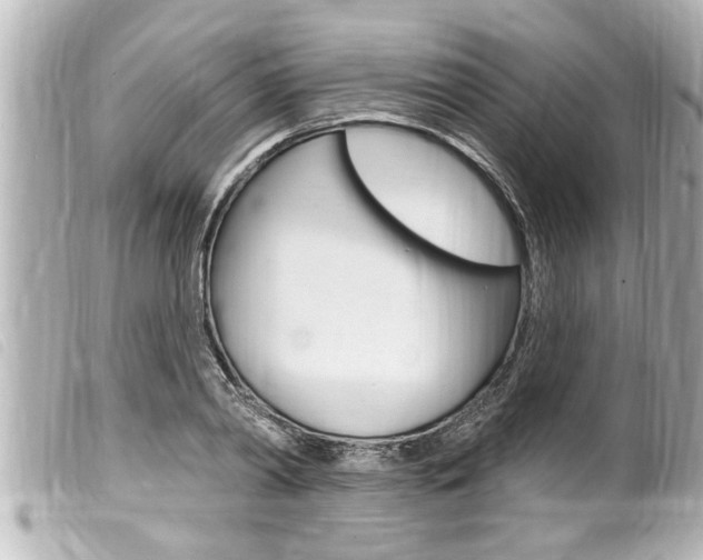 X0000100210790200805300724
