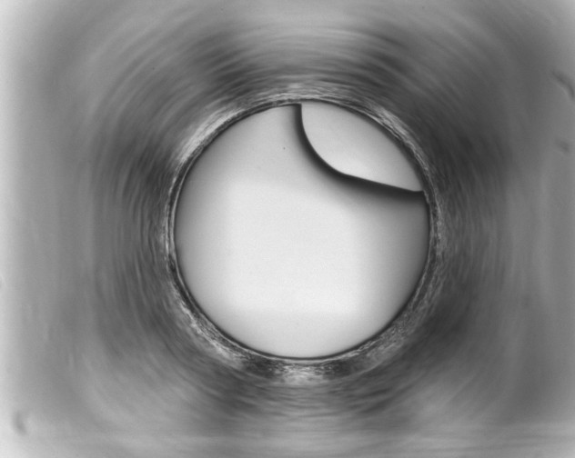 X0000100210794200805300724