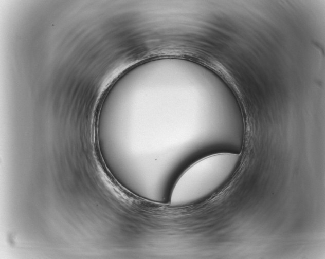 X0000100210795200805300724